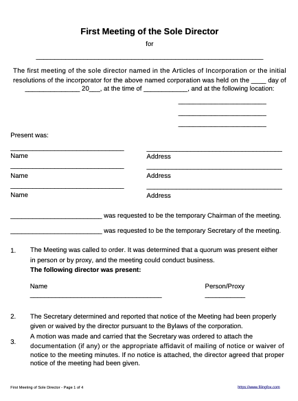 Sole Director Initial Meeting Template